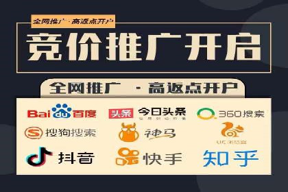 百度推广费用投入与品牌知名度提升的案例分析